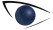 IECS Logo